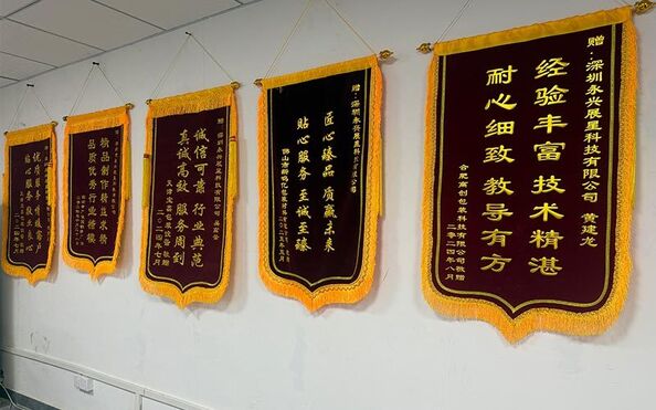 Shenzhen Yong Xing Zhan Xing Technology Co,. Ltd.